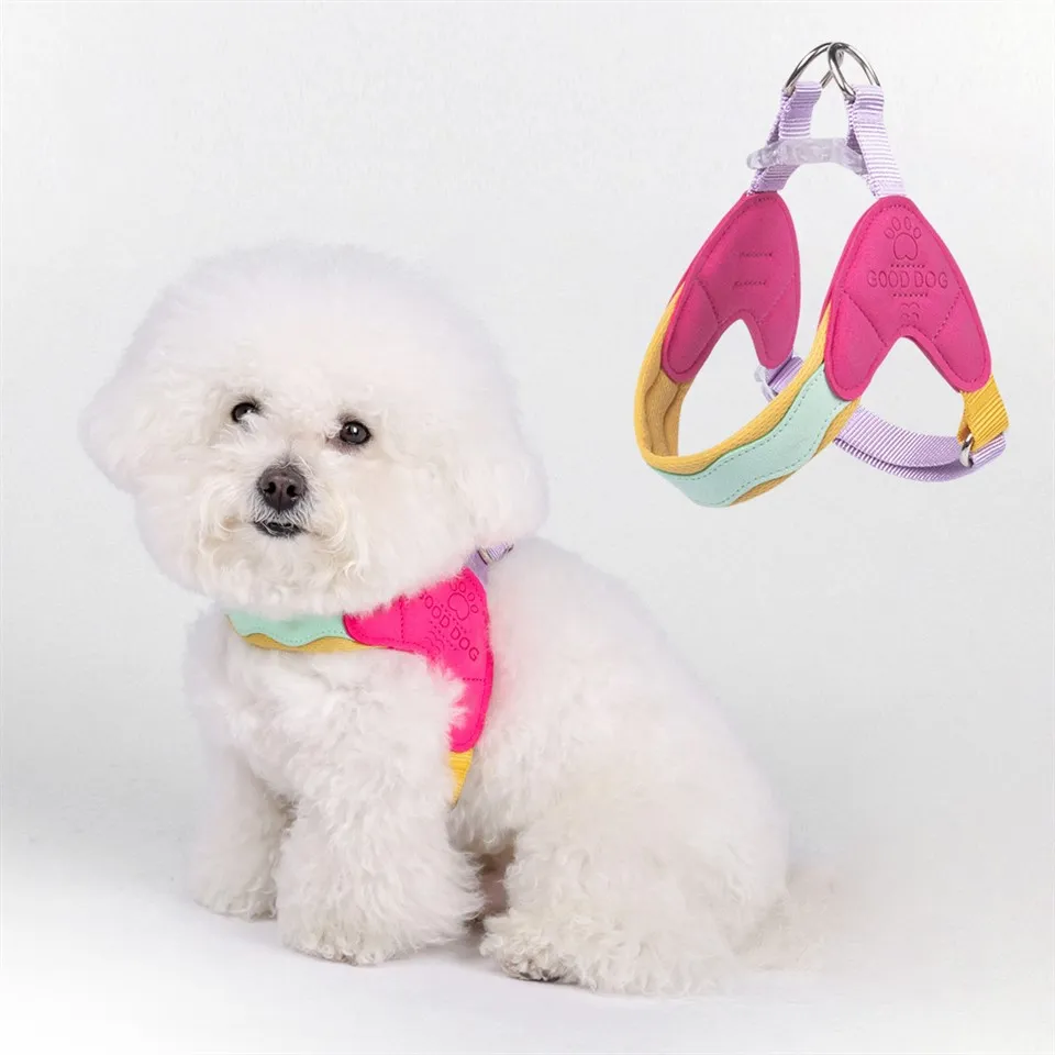 Kölyökhám kis kutyák számára