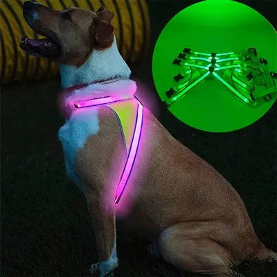 Glow in The Dark Dog Hám